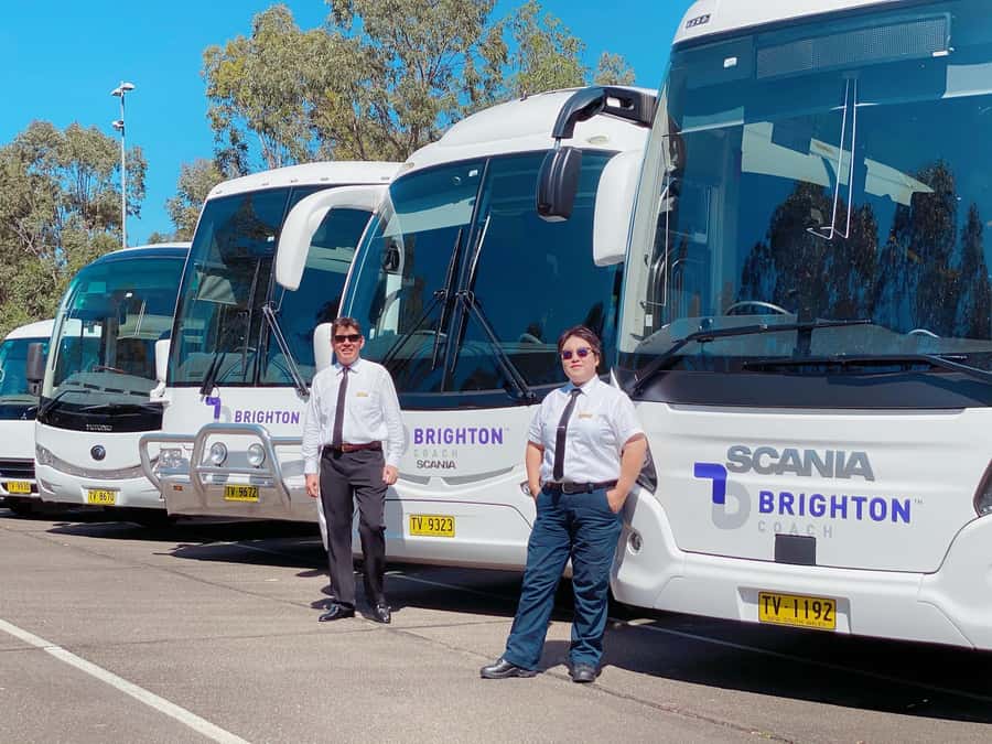 Port Stephens: Dolphin Cruise, Lunch, Koalas & Sandboarding - Should you book the Port Stephens experience?