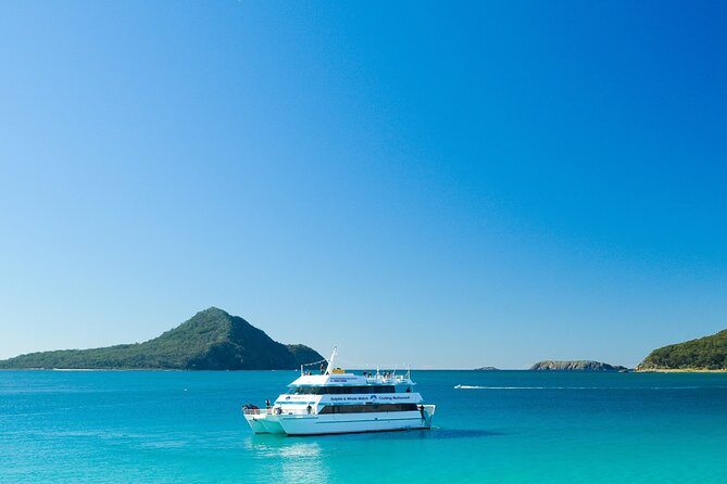 Port Stephens: Dolphin Discovery Cruise - Searching Port Stephens for dolphins