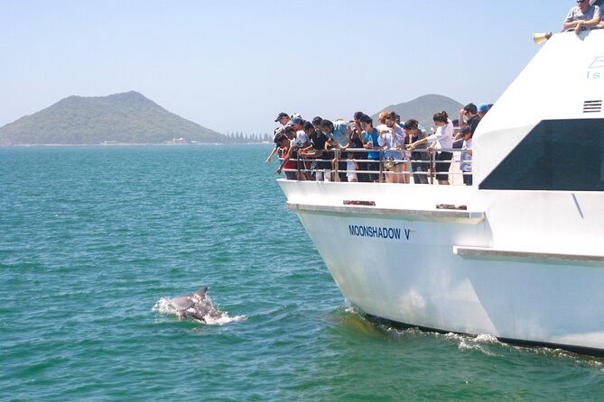 Port Stephens: Dolphin Discovery Cruise - The first 20 minutes: harbour views before the dolphins