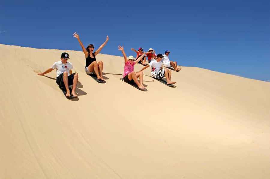 Port Stephens: Dolphin, Lunch, Koalas&Sandboarding(Japanese) - Key points to know before booking