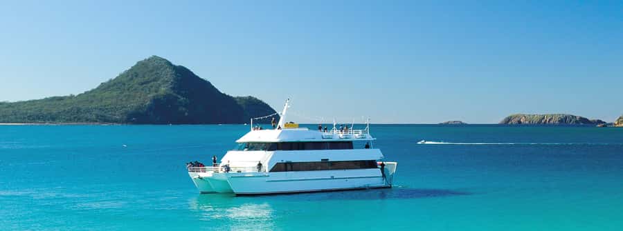 Port Stephens: Dolphin, Lunch, Koalas&Sandboarding -Mandarin - Why this Port Stephens day works