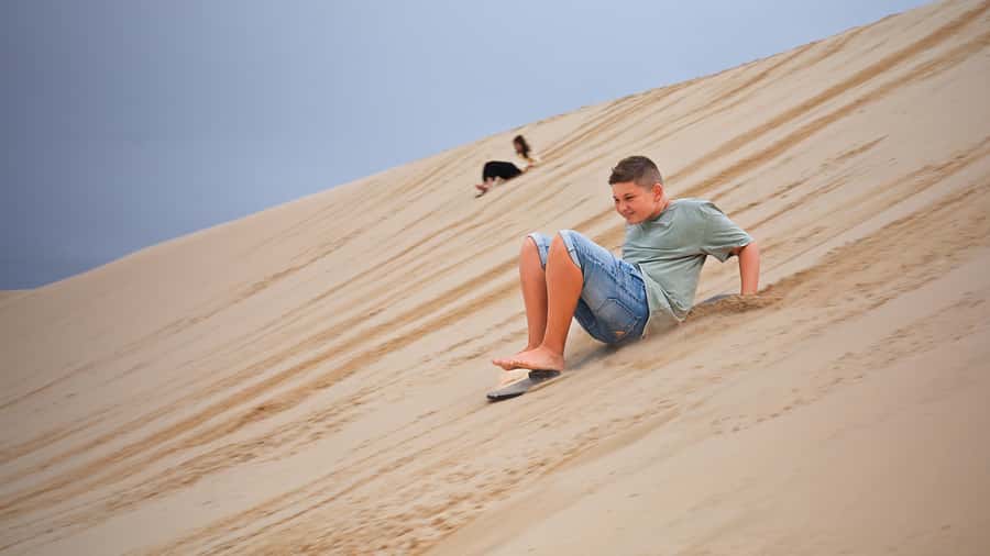 Port Stephens: Dolphin, Lunch, Koalas&Sandboarding -Mandarin - A short visit to the Port Stephens Koala Sanctuary
