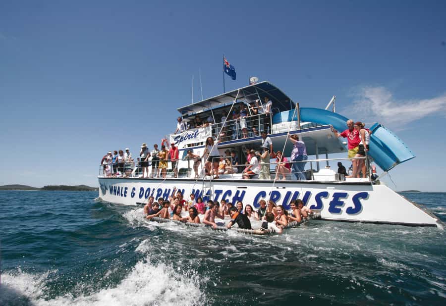 Port Stephens: Dolphin Watch Cruise with Swimming and Slides - Tomaree and Yacaaba headlands from the water