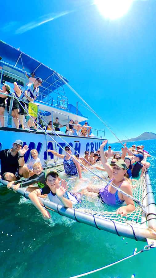 Port Stephens: Dolphin Watch Cruise with Swimming and Slides - My verdict: book it for fun, not certainty