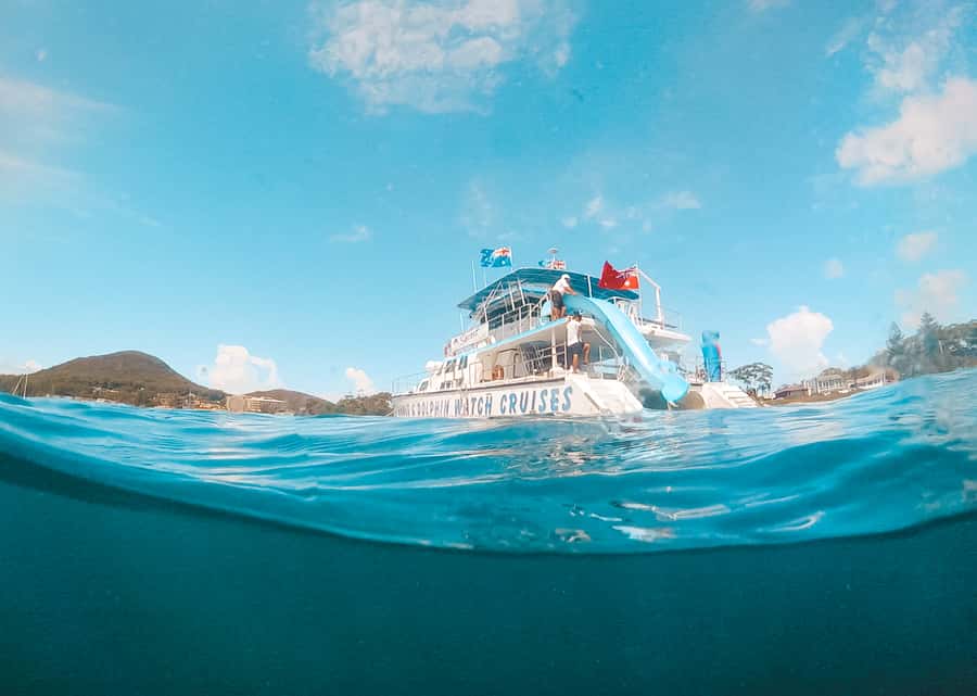 Port Stephens: Dolphin Watch Cruise with Swimming and Slides - Searching Port Stephens for dolphins