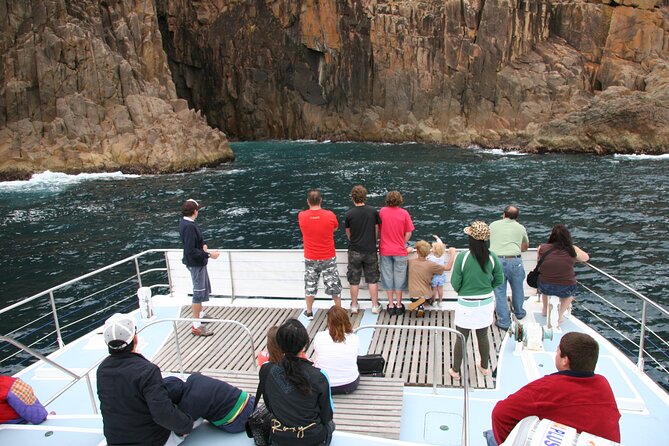 Port Stephens: Dolphin Watch Eco Adventure - Boarding at D’Albora Marina in Nelson Bay