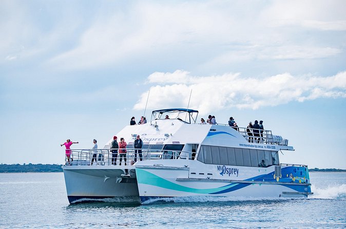 Port Stephens: Dolphin Watch Eco Adventure - Who should book this cruise