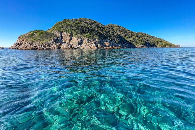 Port Stephens: Dolphin Watch & Eco Adventure - Searching for Port Stephens’ Bottlenose Dolphins
