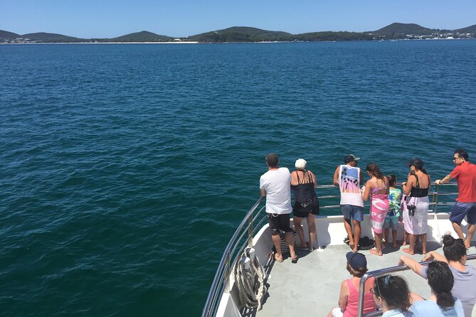 Port Stephens Private Tour From Sydney, with Dolphin/ Whale Cruise Options - Why this private Port Stephens trip makes sense from Sydney