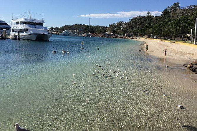 Port Stephens Private Tour From Sydney, with Dolphin/ Whale Cruise Options - Gan Gan Lookout and the best view of the bay