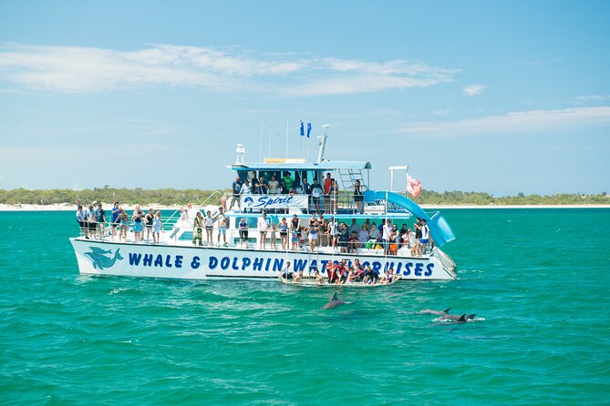 Port Stephens: Splash 'n' Slide Dolphin Cruise - Key points to know before you book
