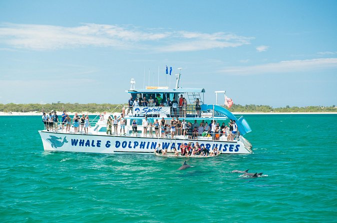 Port Stephens: Splash 'n' Slide Dolphin Cruise - Who should choose this cruise?