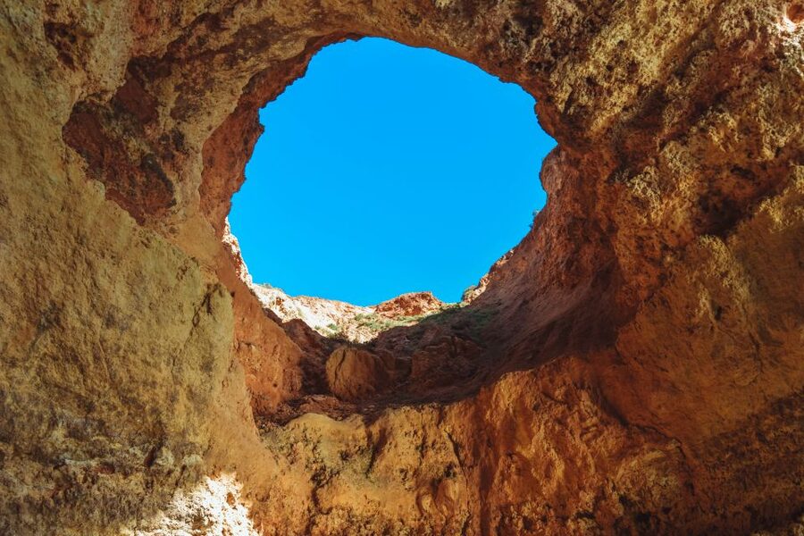 Portimão: Benagil Caves & Dolphins Watching with Biologist - What the marine biologist adds