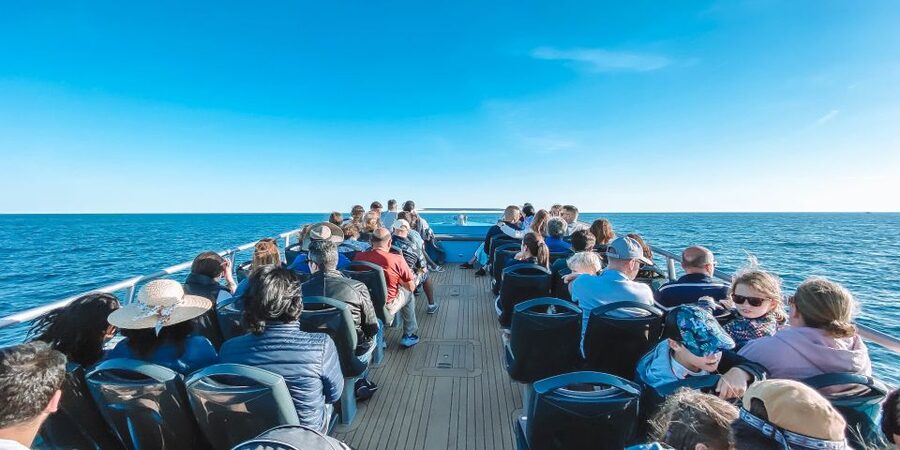 Portimão: Benagil Caves & Dolphins Watching with Biologist - Heading offshore in search of dolphins