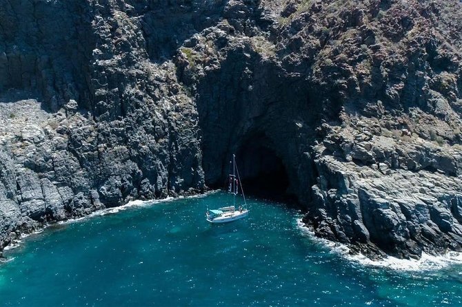 Premium All Inclusive Whale & Dolphin Watching Experience - The swim and snorkeling stop