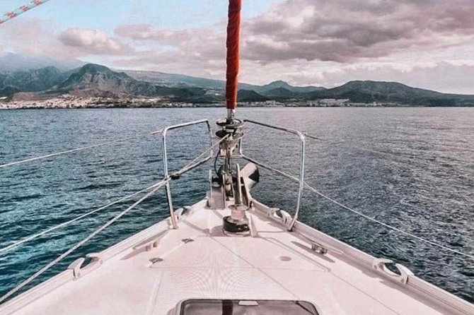 Premium All Inclusive Whale & Dolphin Watching Experience - Group size, comfort, and accessibility