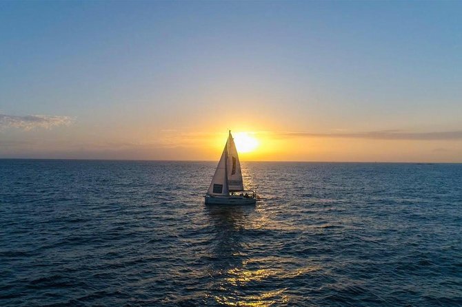 Premium All Inclusive Whale & Dolphin Watching Experience - Searching for whales and dolphins