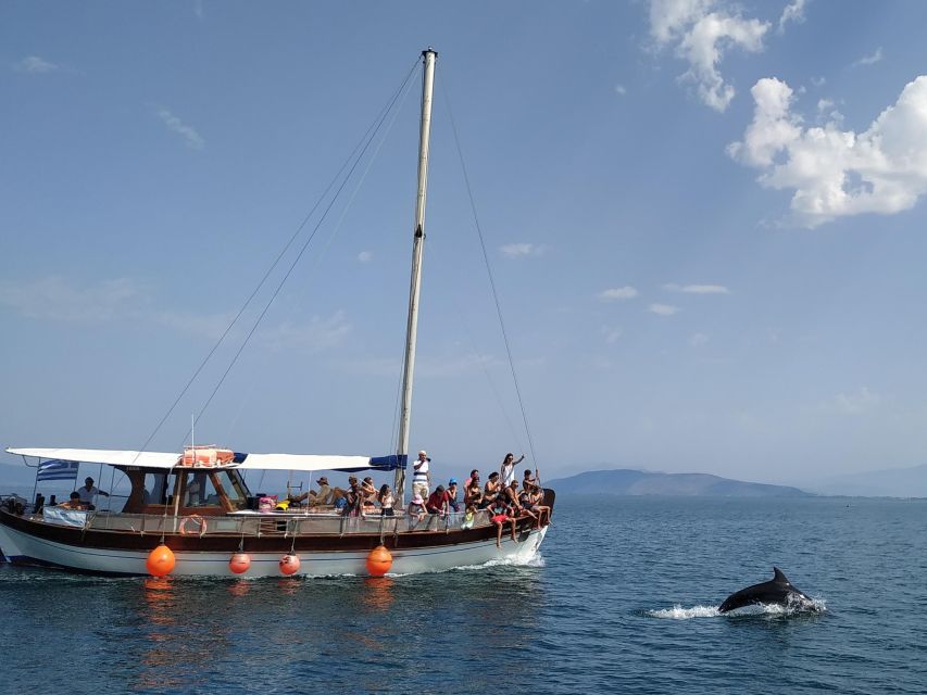 Preveza: Dolphin Watching Cruise with Lunch and Drinks - Key points to know before you book