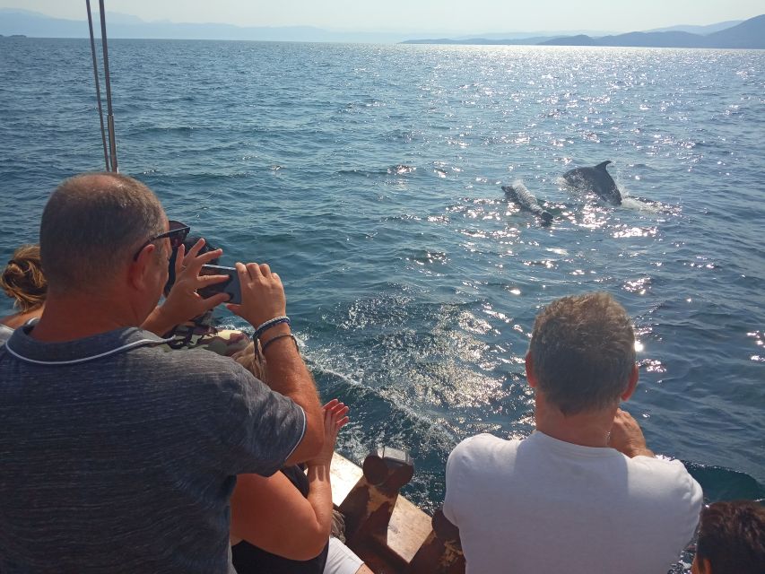 Preveza: Dolphin Watching Cruise with Lunch and Drinks - The quiet bay and swimming stop