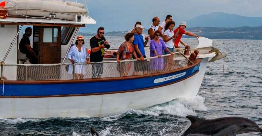 Preveza: Dolphin Watching Cruise with Lunch and Drinks - The return sail to Preveza