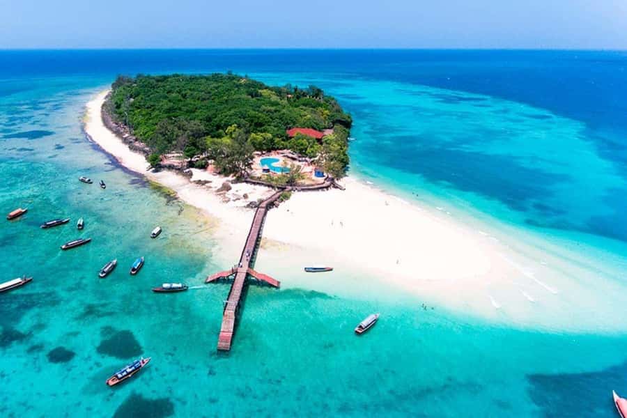 Prison Island, Lunch Break Experience, Mnemba Dolphin Tour - Mnemba Atoll brings the main water action