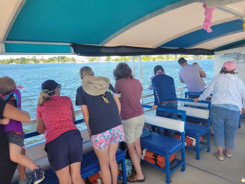 Private 2 hour Dolphin Sightseeing tour- Melbourne - Annie the Dragon and the Waterway Views