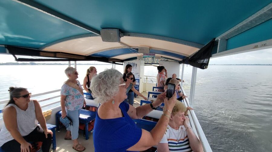 Private 2 hour Dolphin Sightseeing tour- Melbourne - Accessibility for Mixed-Mobility Families