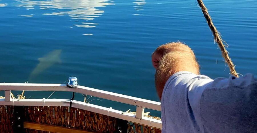 Private 2 hour Dolphin Sightseeing tour- Melbourne - Cruising the Indian River Lagoon Estuary System