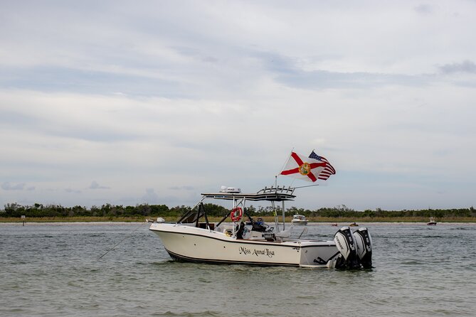 Private 2-Hour Dolphin Watching Cruise in St. Petersburg, FL - Watching Wild Bottlenose Dolphins