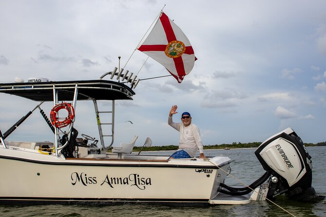 Private 2-Hour Dolphin Watching Cruise in St. Petersburg, FL - A Possible Beach Swim