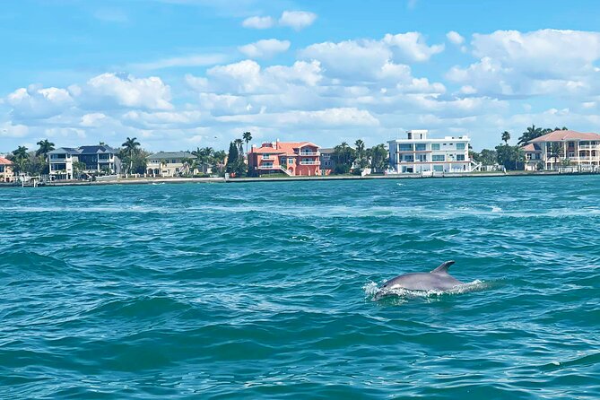 Private 2-Hour Dolphin Watching Cruise in St. Petersburg, FL - What the Two Hours Feel Like