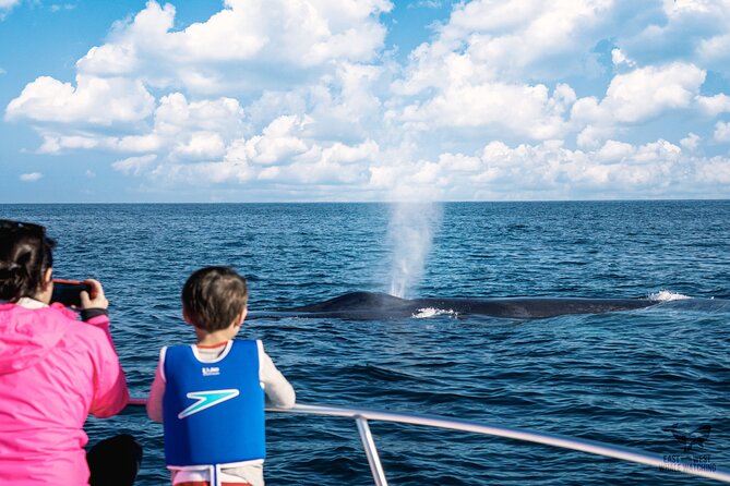Private 2hr Supreme Whale/Dolphin Watching Tour, Newport Beach CA - Captain Nick’s role on the water