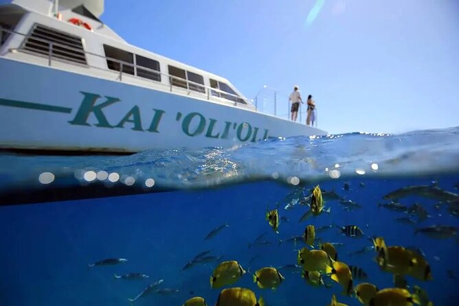 Private and Luxurious Sunset Cruise with Whale & Dolphin Watch - Key points at a glance