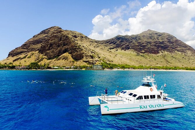 Private and Luxurious Sunset Cruise with Whale & Dolphin Watch - Practical details before you go