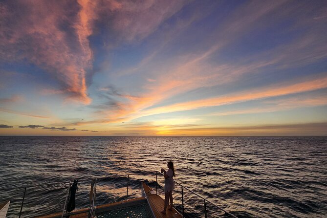 Private and Luxurious Sunset Cruise with Whale & Dolphin Watch - Wildlife watching beyond the dolphins
