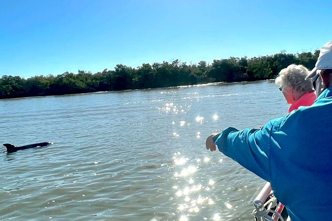 Private Best of Marco Island Dolphin Tour - Watching for dolphins in the Ten Thousand Islands