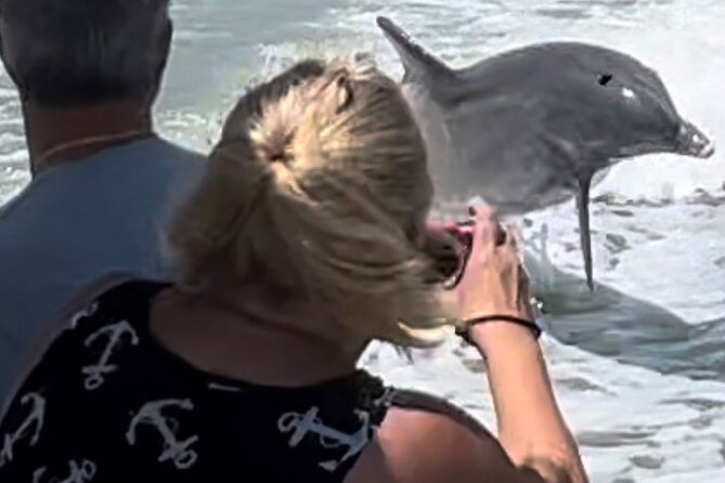 Private Best of Marco Island Dolphin Tour - Seeing the southern side of Marco Island