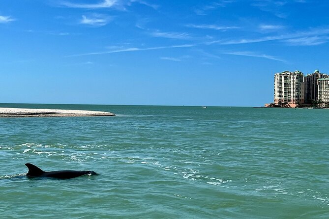 Private Best of Marco Island Dolphin Tour - Possible route to Cape Romano