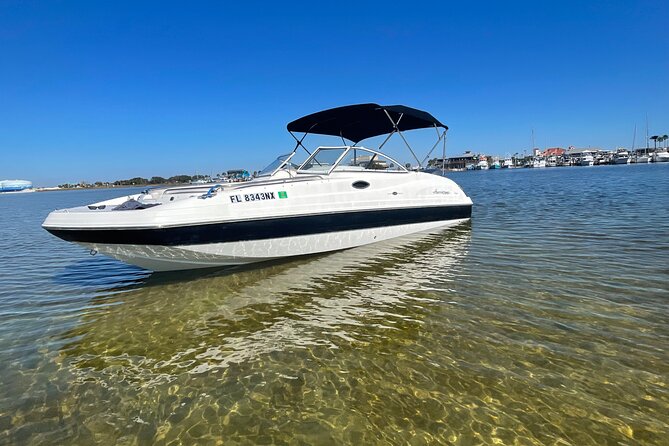 Private Boat and Dolphin Watching in Florida - Key Points at a Glance