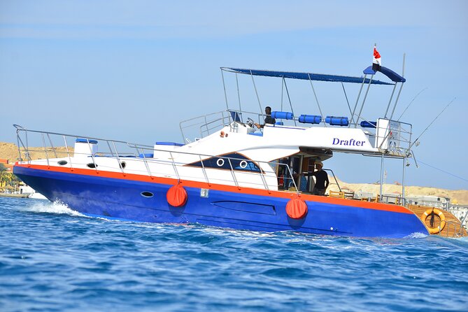 Private Boat Full Day Swimming With Dolphins Trip - Hurghada - Key points at a glance