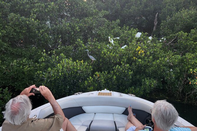 Private Boat: Island Cruise and Dolphins - Tubing, snorkeling, and swimming choices