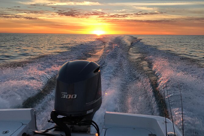 Private boat offering dolphin watching, island excursions and nature tours - A private start from St. Pete Beach
