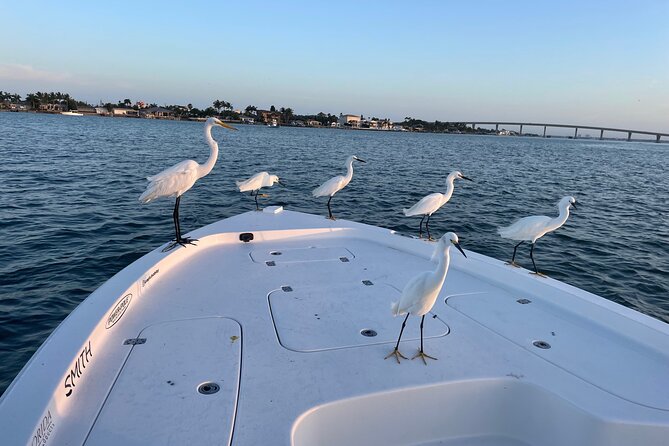 Private boat offering dolphin watching, island excursions and nature tours - Choosing your three-hour route