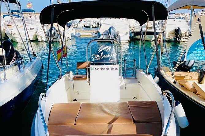 Private boat rental without title dolphin watching - Sunset time, marine wildlife, and the right expectations