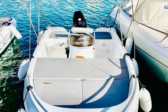 Private boat rental without title dolphin watching - Who will enjoy this boat rental most