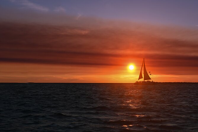 Private Boat Tour Dolphins Sunsets Shell Island and Snorkeling - Watching Dolphins Near Panama City Beach