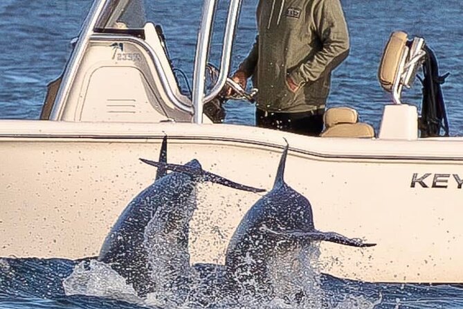 Private Boat Tour Dolphins Sunsets Shell Island and Snorkeling - What to Bring and How to Prepare