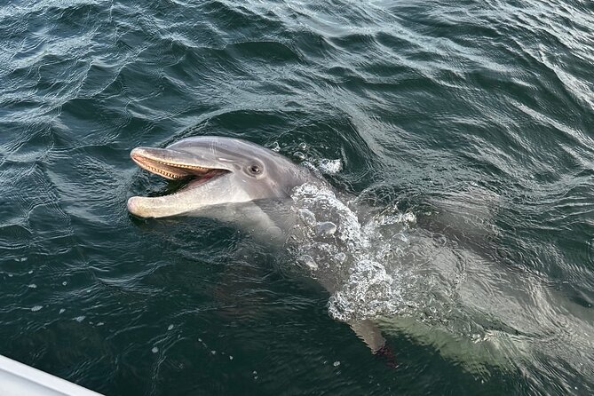 Private Boat Tour Dolphins Sunsets Shell Island and Snorkeling - Cancellation and Weather Rules