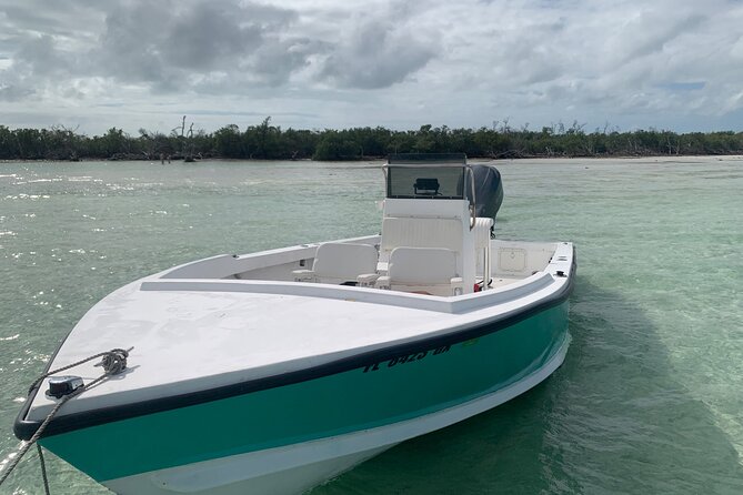 Private Boat Tour to Sand Bar Snorkel Dolphins and Sunset - Booking details worth checking
