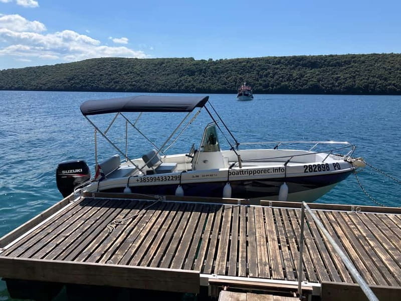 Private boat trips in Porec: dolphin watching, panoramic views - Leaving Poreč harbor beside the boat station